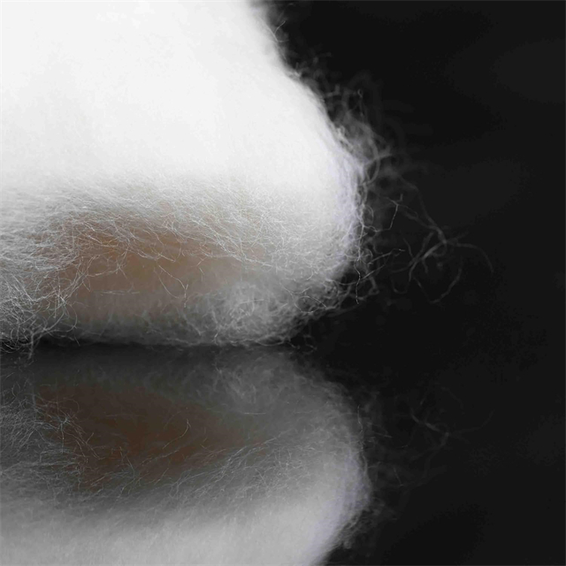 Preenchimento de fibra de algodão natural premium para projetos ecológicos