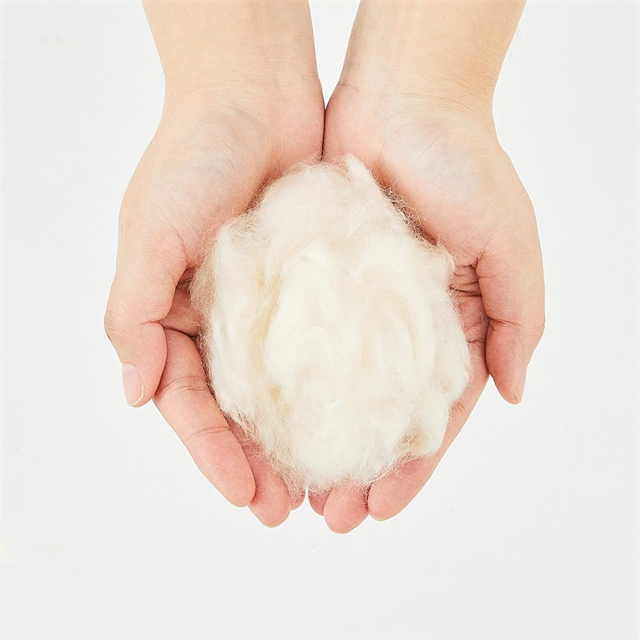 100% Kapok Fibre Organic Chefing Pillow Sofá Cedro de colchão de algodão e muito mais