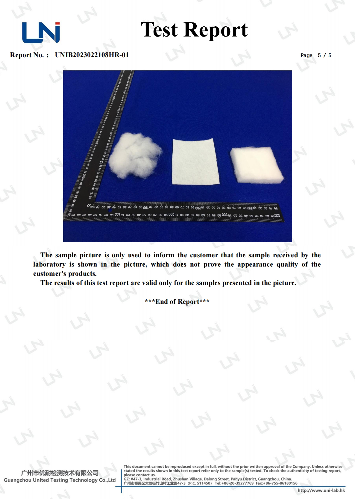 微信截图 _20250221091759